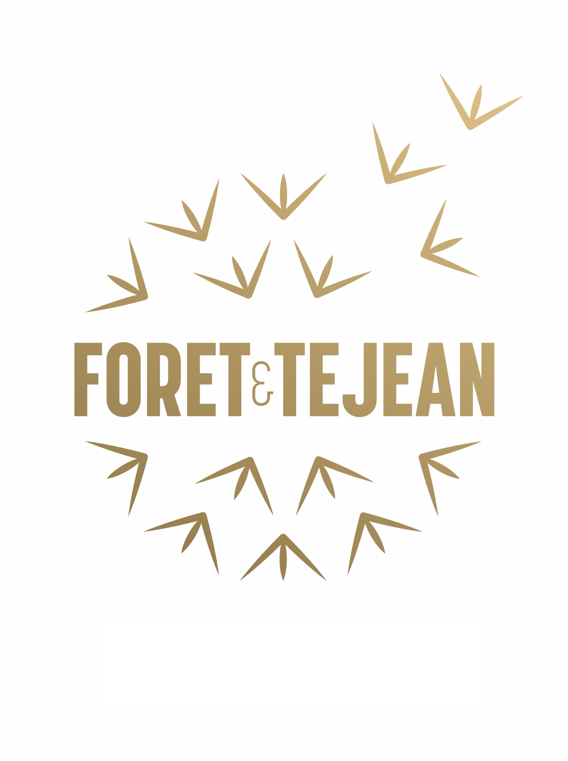 FORET & TEJEAN